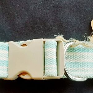 Striped Dog Collar